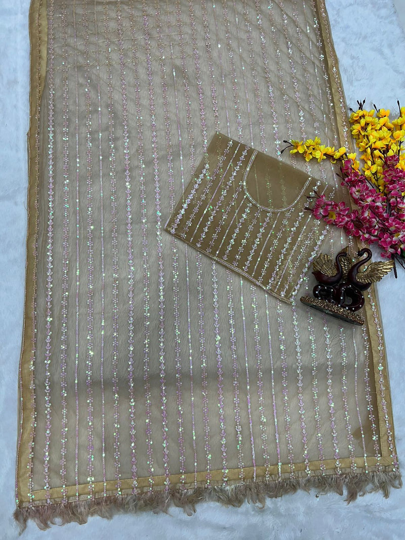 Fancy Border Sequence Work Beige Color Net Saree