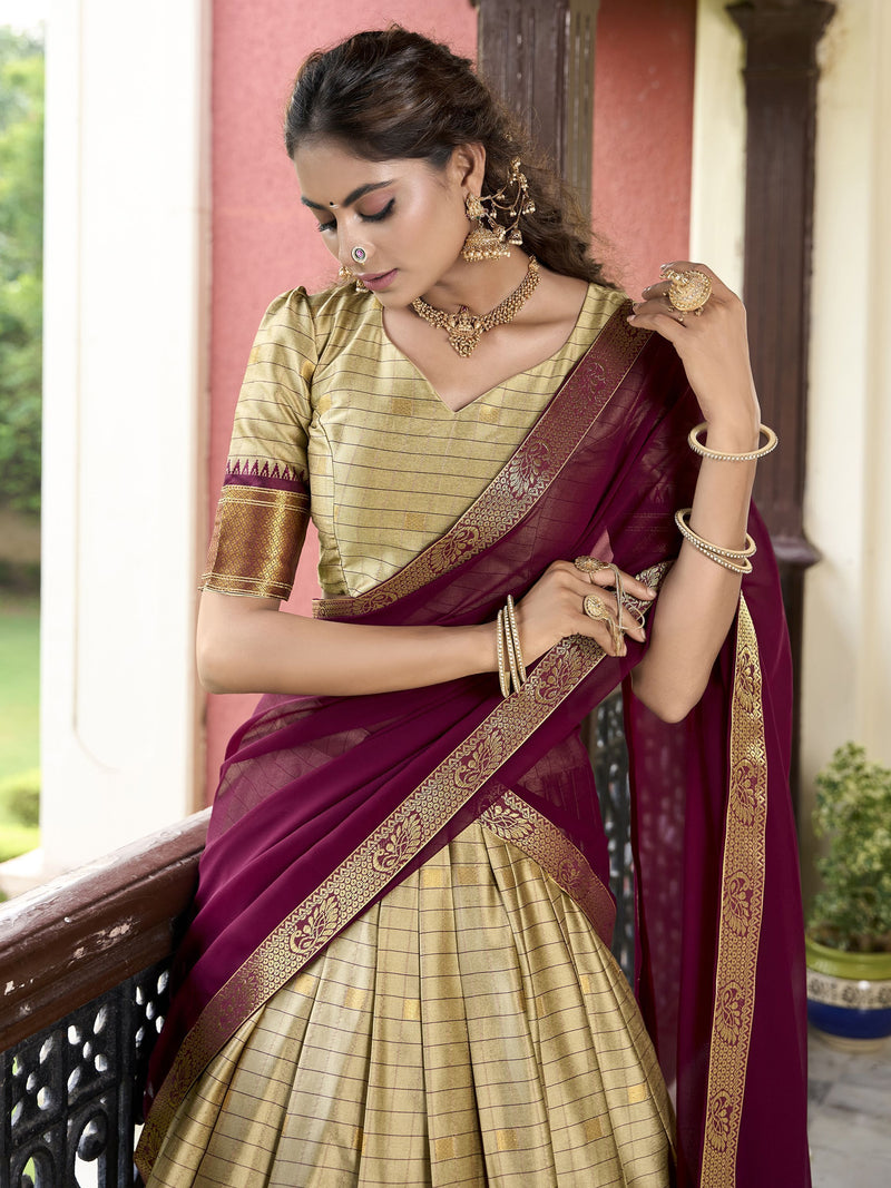 Chikoo Color Cotton Silk Designer South India Style Half Saree