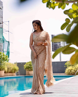 Fancy Border Sequence Work Beige Color Net Saree