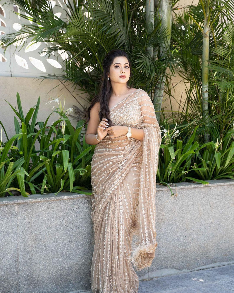 Fancy Border Sequence Work Beige Color Net Saree